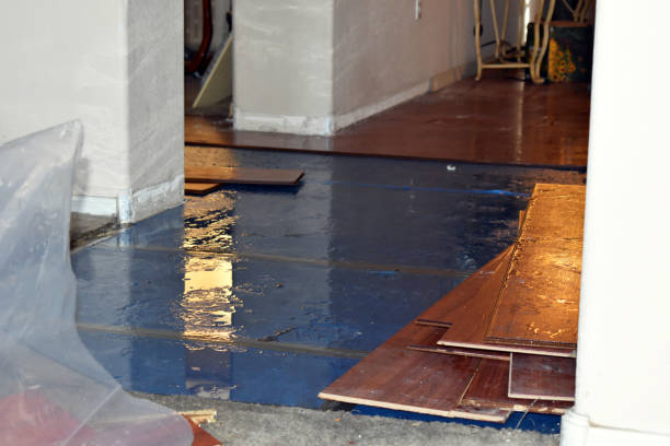 Professional Basement Flood Cleanup technician working in Berwick, LA